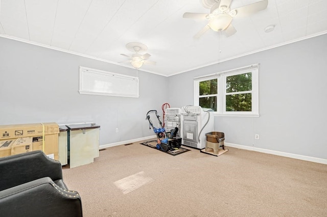 exercise room featuring ornamental molding, ceiling fan, and carpet floors