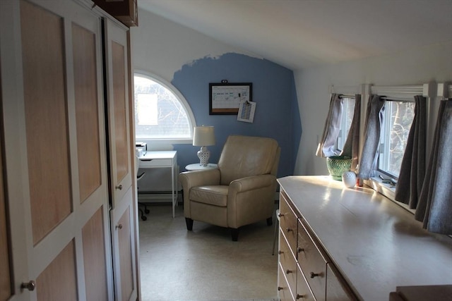 living area with lofted ceiling