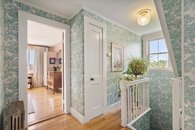 35 Ocean Ave Unit 3, Salem, MA 01970 - hallway featuring radiator, wood finished floors, wallpapered walls, and crown molding