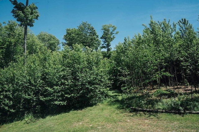 15 Stephanie Ln, Peru, MA 01235 - view of local wilderness