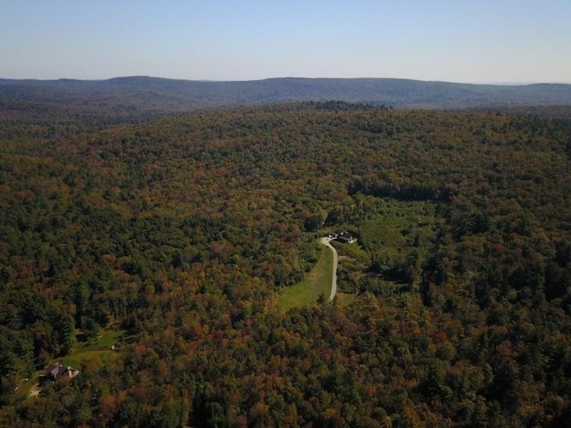 15 Stephanie Ln, Peru, MA 01235 - aerial view of property and surrounding area featuring a heavily wooded area and a mountainous background