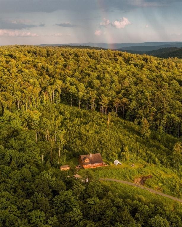 15 Stephanie Ln, Peru, MA 01235 - drone / aerial view of a heavily wooded area