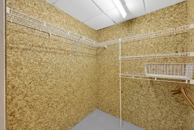 84 Pine Grove Dr Unit 84, South Hadley, MA 01075 - view of walk in closet