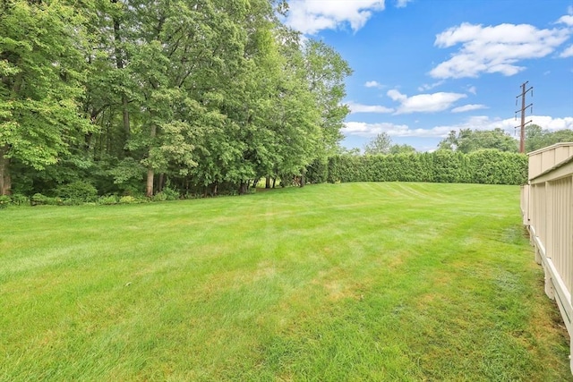 84 Pine Grove Dr Unit 84, South Hadley, MA 01075 - view of grassy yard