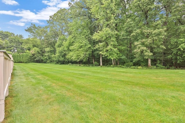 84 Pine Grove Dr Unit 84, South Hadley, MA 01075 - view of green lawn featuring a forest view