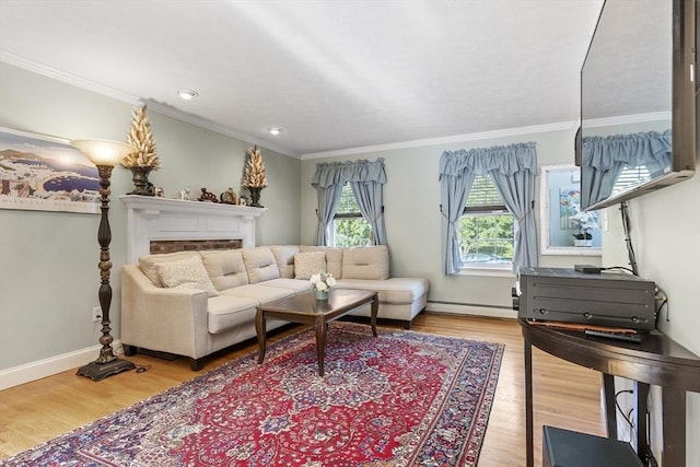 14 Harbor Light Rd, Leominster, MA 01453 - living room featuring a baseboard radiator, crown molding, wood finished floors, recessed lighting, and a fireplace