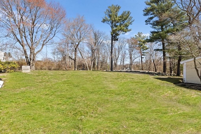 view of yard