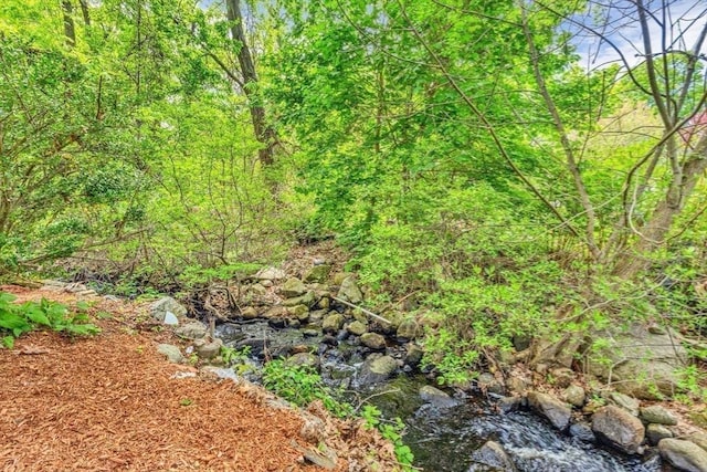 view of woods
