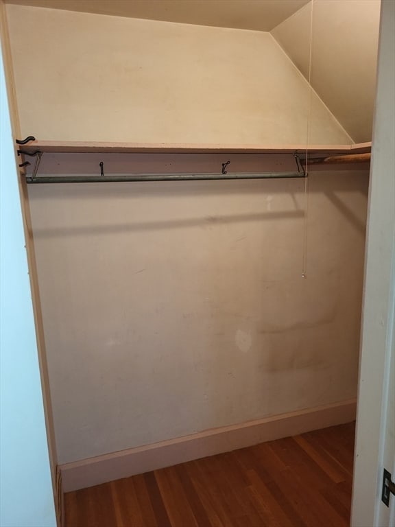walk in closet featuring hardwood / wood-style flooring