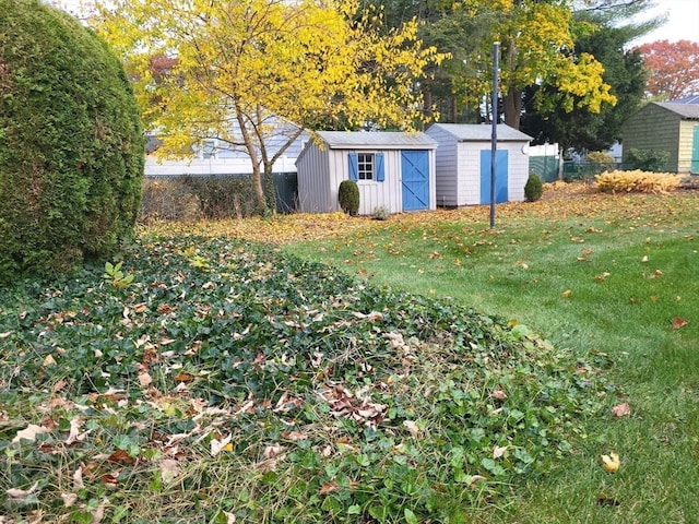 view of yard with a storage shed