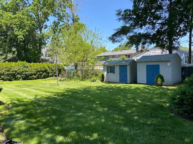 view of yard with a storage unit