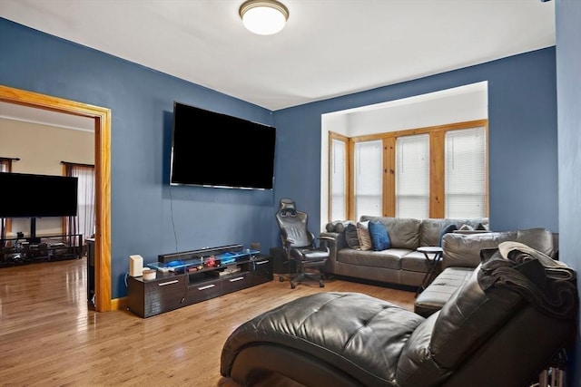 living area featuring wood finished floors