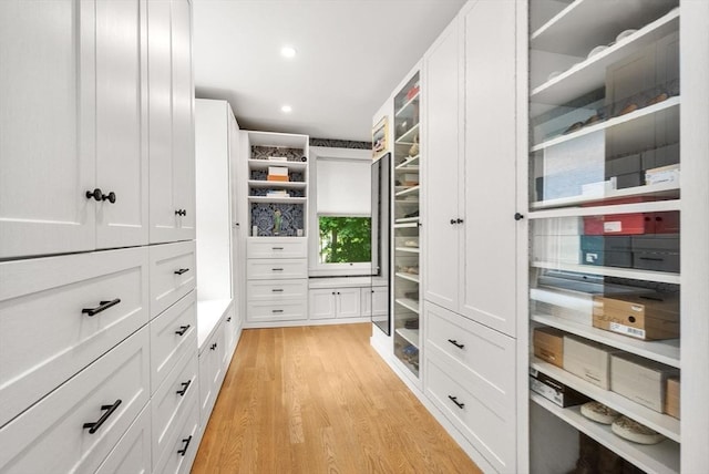 spacious closet with light wood-type flooring