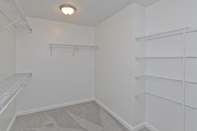 spacious closet featuring carpet floors