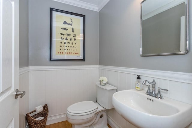 half bathroom featuring a sink, crown molding, wainscoting, and toilet