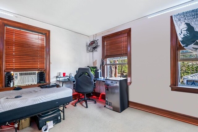 46 Central Ave, Newton, MA 02460 - office area with a wealth of natural light, cooling unit, carpet floors, and baseboards