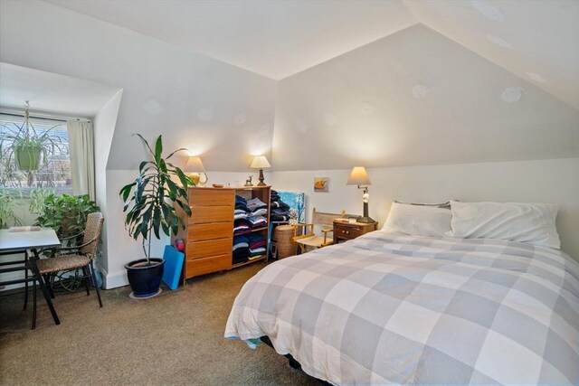 46 Central Ave, Newton, MA 02460 - bedroom with vaulted ceiling and carpet floors