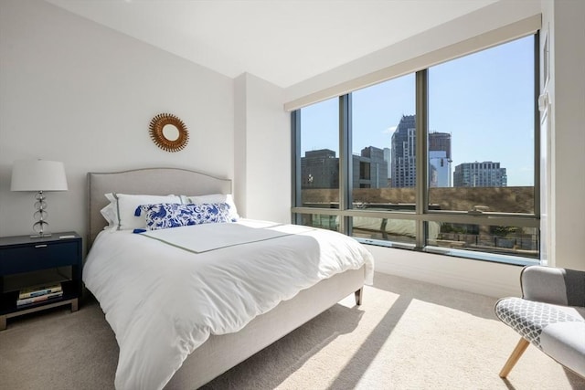 carpeted bedroom featuring a view of city