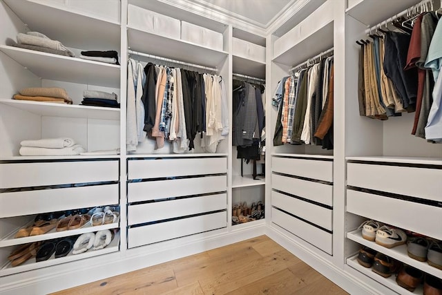 walk in closet with light wood-style flooring