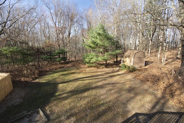 view of yard featuring a storage shed