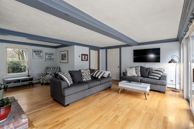 living room with baseboard heating, ornamental molding, wood finished floors, and a baseboard radiator