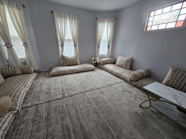 living room featuring healthy amount of natural light