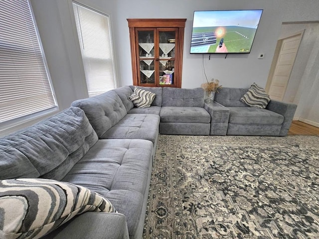 living area with wood finished floors