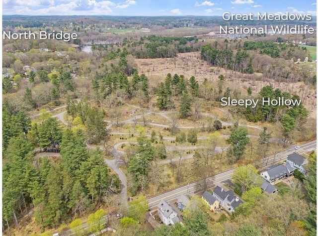 drone / aerial view