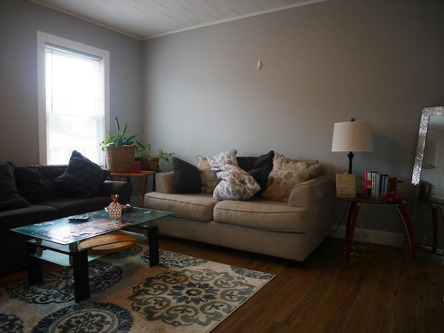 25 Dana St, Lowell, MA 01850 - living area featuring wood finished floors, crown molding, and healthy amount of natural light