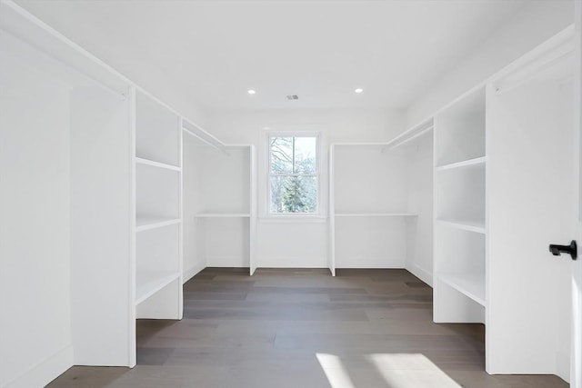 spacious closet with dark wood-type flooring