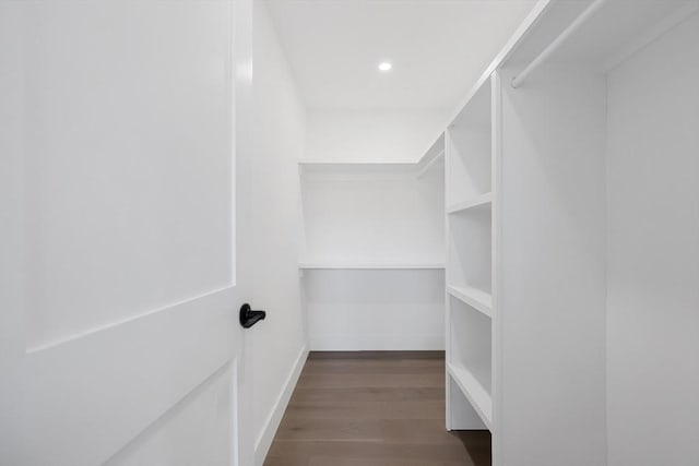 spacious closet featuring dark hardwood / wood-style floors