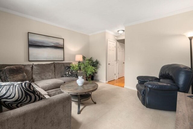 living area featuring crown molding, carpet floors, and baseboards