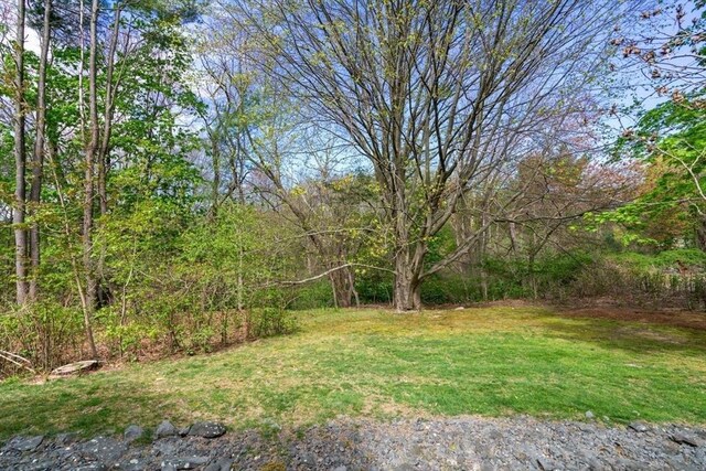 view of yard with a view of trees