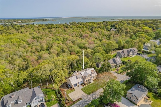287 Cedar St, Chatham, MA 02633 - drone / aerial view of a forest and a large body of water