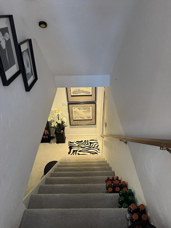 staircase with carpet flooring