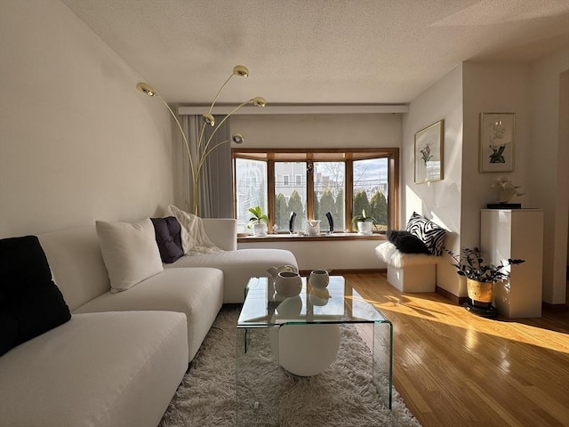 living room with light hardwood / wood-style floors and a textured ceiling