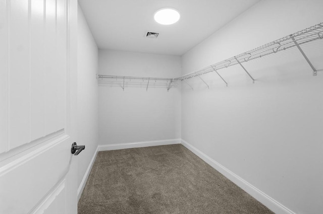 312 Old Westport, Dartmouth, MA 02747 - walk in closet with carpet flooring