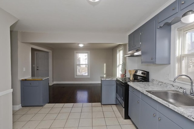 kitchen featuring electric range, a healthy amount of sunlight, sink, and light hardwood / wood-style flooring