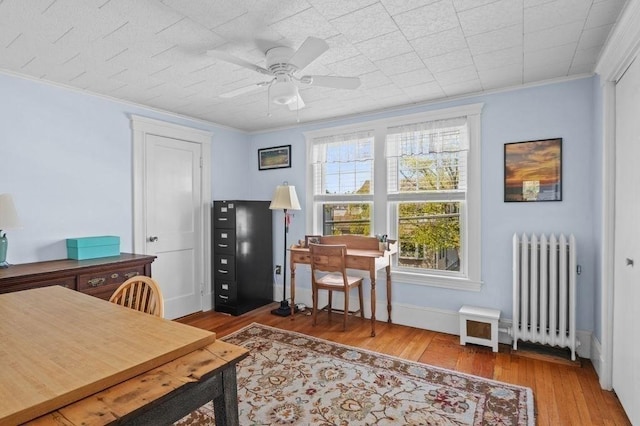 52 Locust St, Lynn, MA 01904 - office area featuring ceiling fan, radiator, hardwood / wood-style floors, baseboards, and ornamental molding
