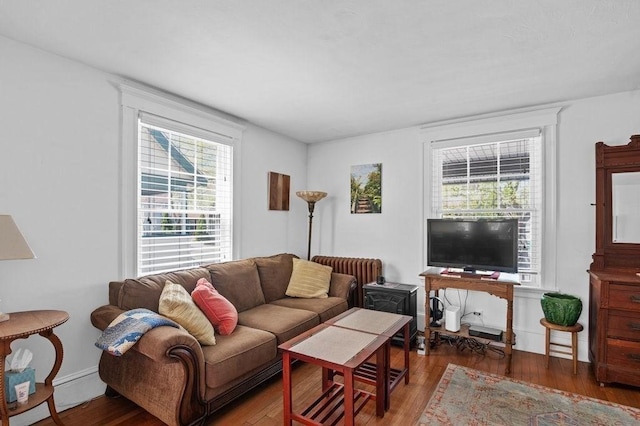52 Locust St, Lynn, MA 01904 - living room featuring wood finished floors