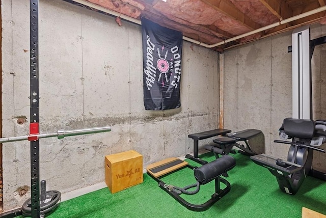 exercise area featuring carpet floors