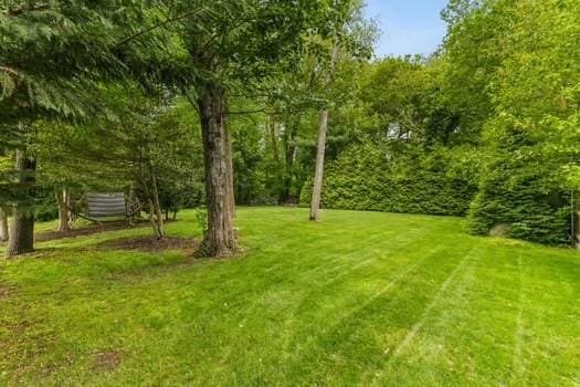 1029 Joyce St, New Bedford, MA 02745 - view of green lawn