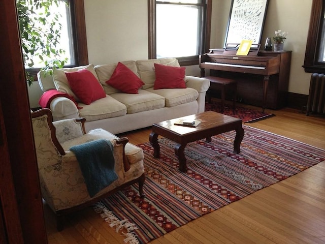 living room with radiator and wood finished floors