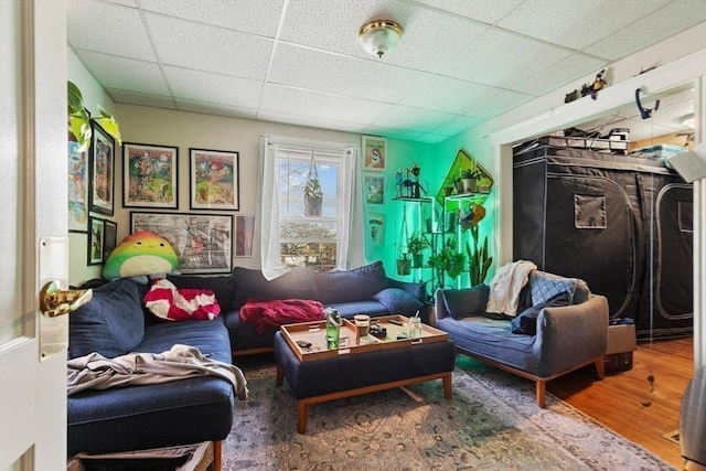 living area with a paneled ceiling and hardwood / wood-style floors