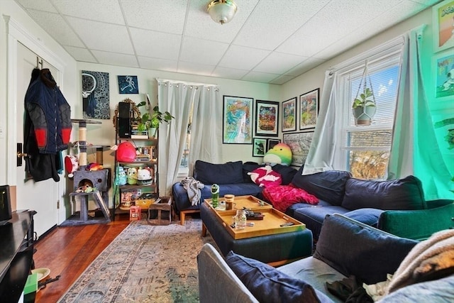 sitting room with a drop ceiling and dark hardwood / wood-style floors