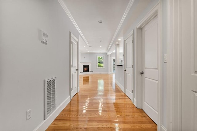 20 Winfield St Unit 1, Boston, MA 02127 - hallway with light wood-type flooring and ornamental molding