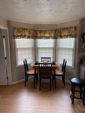 19 Camelot Ct Unit 19, Stoughton, MA 02072 - dining room featuring baseboards, a textured ceiling, and light wood finished floors