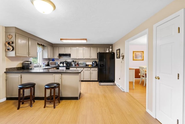 19 Camelot Ct Unit 19, Stoughton, MA 02072 - kitchen featuring black appliances, under cabinet range hood, light wood-type flooring, a peninsula, and dark countertops