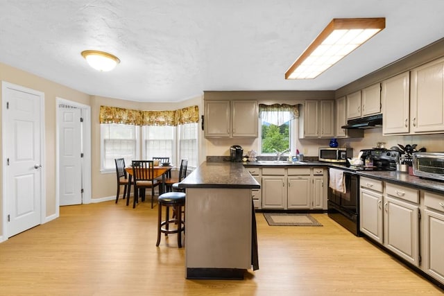 19 Camelot Ct Unit 19, Stoughton, MA 02072 - kitchen featuring black range with electric cooktop, stainless steel microwave, a peninsula, light wood-type flooring, and under cabinet range hood