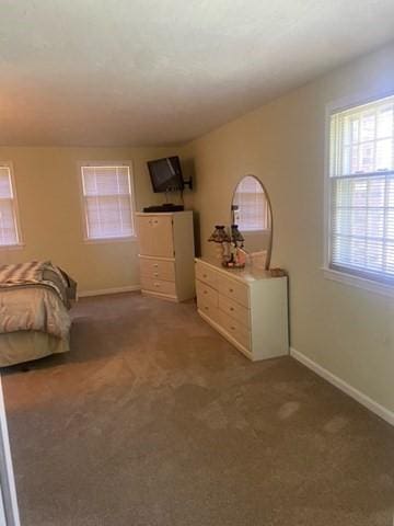 19 Camelot Ct Unit 19, Stoughton, MA 02072 - carpeted bedroom with baseboards